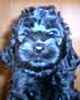 Goldendoodle puppies for sale